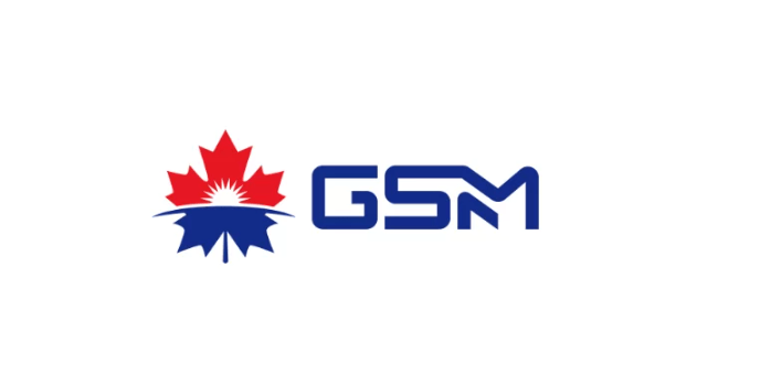 GSM Review