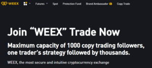 WEEX Review 2024