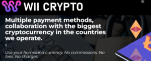 WiiCrypto Review 2024