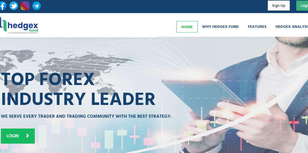 Hedgex Fund Review