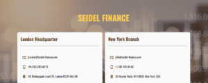 Seidel Finance Review 2024