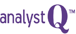 AnalystQ Review 2024