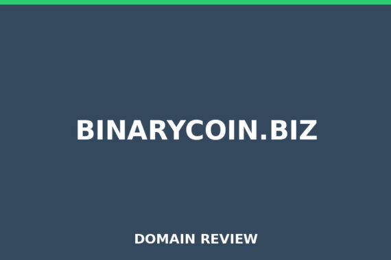 Placeholder image for binarycoin.biz domain review