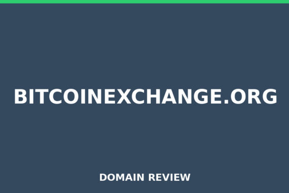 BITCOINEXCHANGE.ORG review 2025 - Domain review placeholder image for bitcoinexchange.org