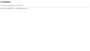 copytrading.org Review 2025 – Legitimacy Analysis