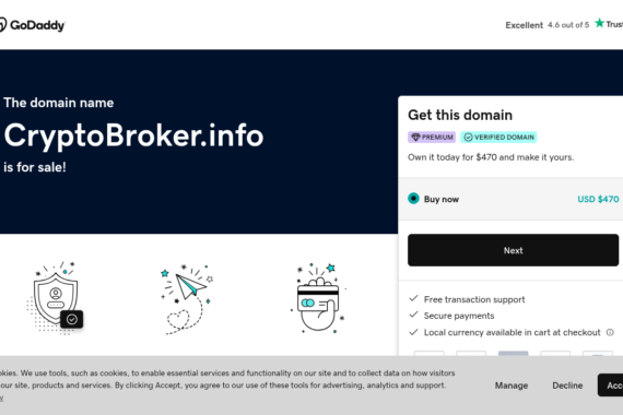 CRYPTOBROKER.INFO review 2025 - Screenshot of cryptobroker.info website showing security analysis
