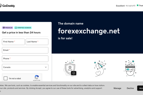 FOREXEXCHANGE.NET review 2025 - Screenshot of forexexchange.net website showing security analysis