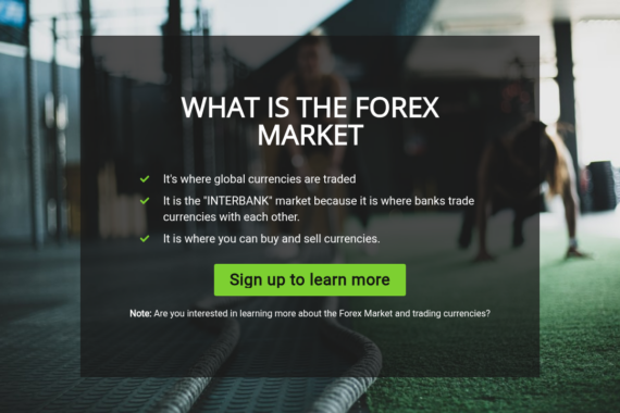 FOREXMARKET.NET review 2025 - Screenshot of forexmarket.net website showing security analysis