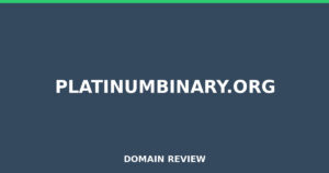 platinumbinary.org Review 2025 – Detailed Analysis