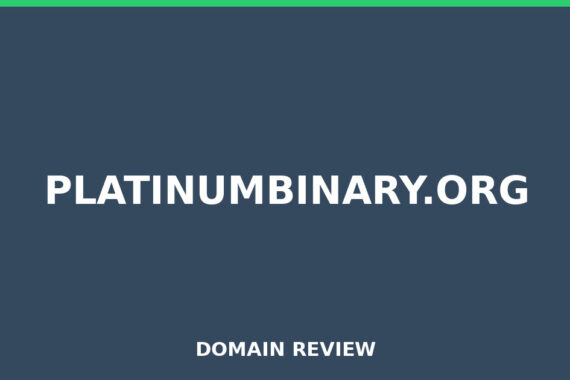 PLATINUMBINARY.ORG review 2025 - Domain review placeholder image for platinumbinary.org