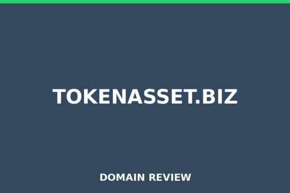 Placeholder image for tokenasset.biz domain review