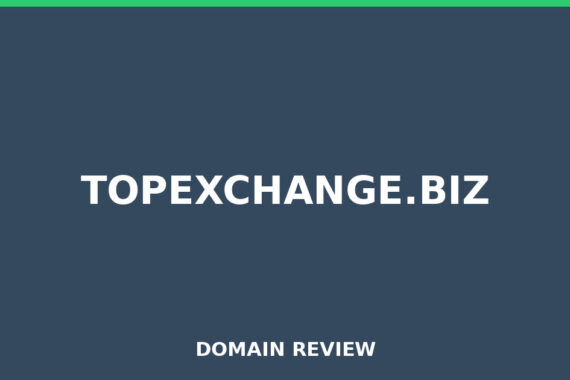 Placeholder image for topexchange.biz domain review