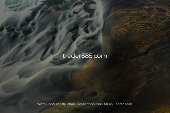 TRADER685.COM review 2025 - Screenshot of trader685.com website showing security analysis