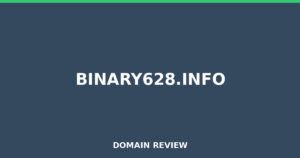 binary628.info Review 2025 – Detailed Analysis
