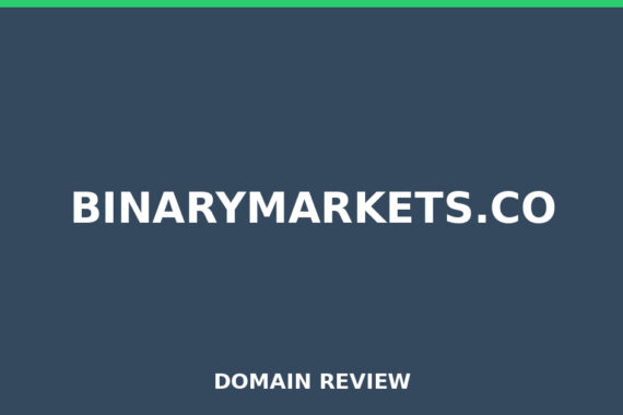 BINARYMARKETS.CO review 2025 - Domain review placeholder image for binarymarkets.co