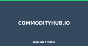 commodityhub.io Review 2025 – Detailed Analysis