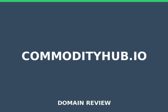 COMMODITYHUB.IO review 2025 - Domain review placeholder image for commodityhub.io