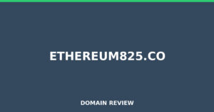 ethereum825.co Review 2025 – Detailed Analysis