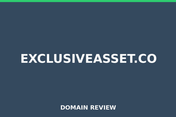 EXCLUSIVEASSET.CO review 2025 - Domain review placeholder image for exclusiveasset.co