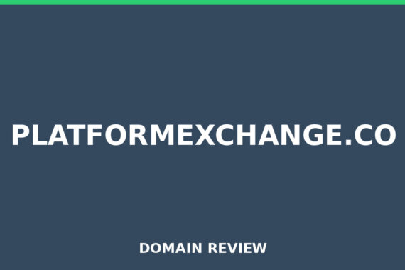 PLATFORMEXCHANGE.CO review 2025 - Domain review placeholder image for platformexchange.co