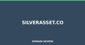 silverasset.co 2025 Review – Legitimacy Check