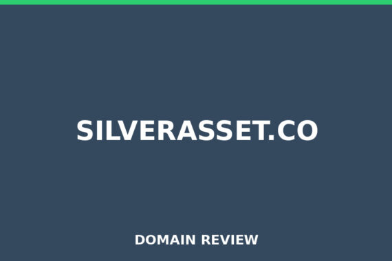 SILVERASSET.CO review 2025 - Domain review placeholder image for silverasset.co
