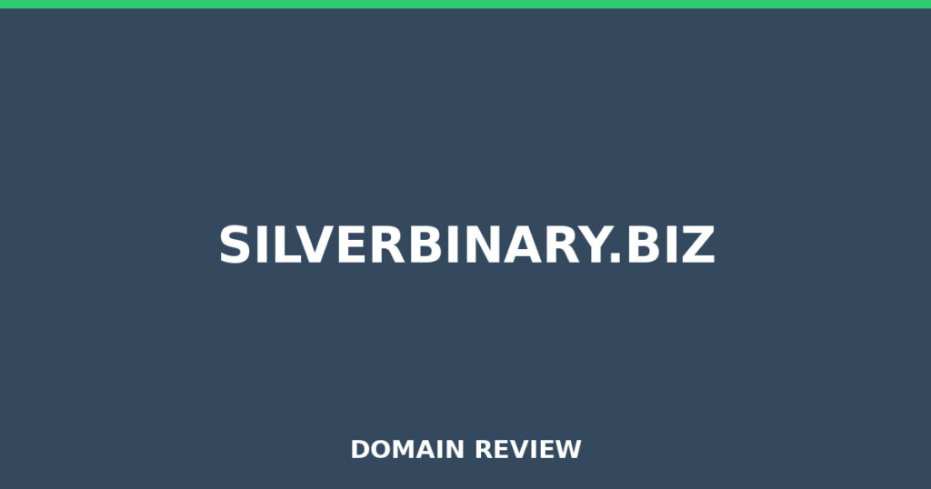 SILVERBINARY.BIZ review 2025 - Domain review placeholder image for silverbinary.biz