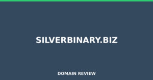 silverbinary.biz 2025 Review – Legitimacy Check