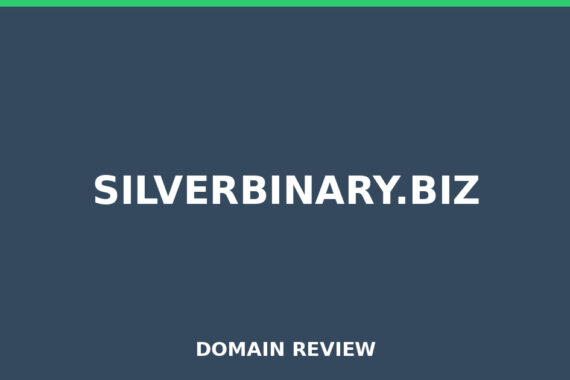 SILVERBINARY.BIZ review 2025 - Domain review placeholder image for silverbinary.biz
