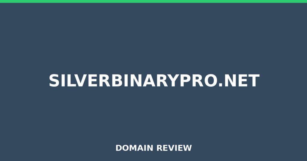 SILVERBINARYPRO.NET review 2025 - Domain review placeholder image for silverbinarypro.net