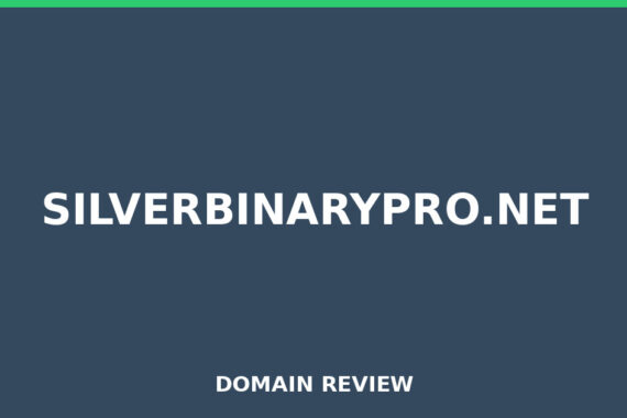 SILVERBINARYPRO.NET review 2025 - Domain review placeholder image for silverbinarypro.net