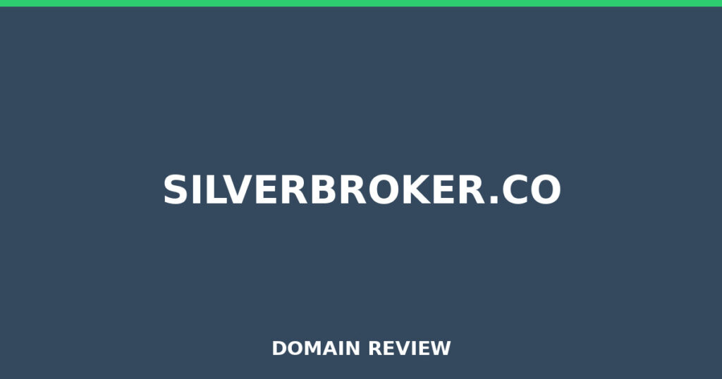 SILVERBROKER.CO review 2025 - Domain review placeholder image for silverbroker.co