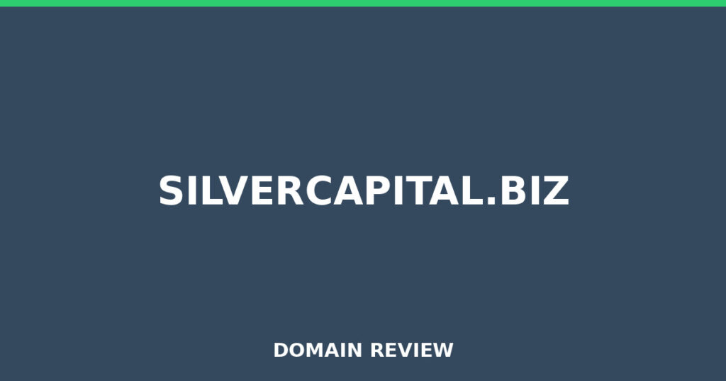 SILVERCAPITAL.BIZ review 2025 - Domain review placeholder image for silvercapital.biz
