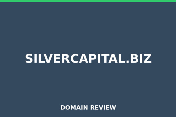 SILVERCAPITAL.BIZ review 2025 - Domain review placeholder image for silvercapital.biz