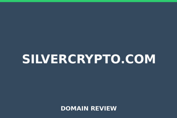 SILVERCRYPTO.COM review 2025 - Domain review placeholder image for silvercrypto.com