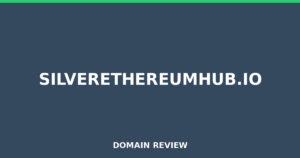 silverethereumhub.io Review 2025 – Detailed Analysis