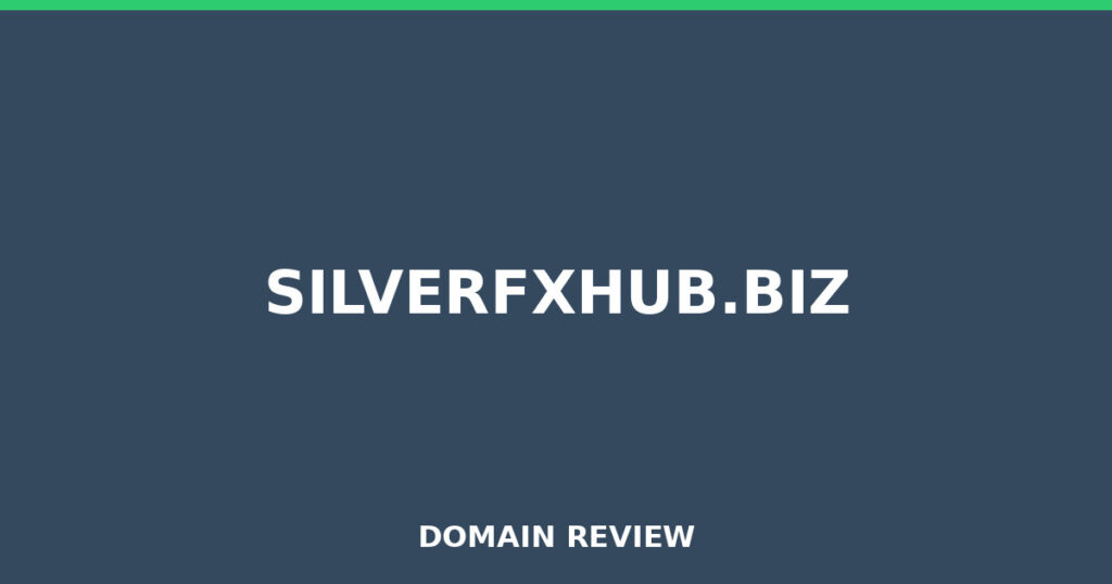 SILVERFXHUB.BIZ-Rezension 2025 – Platzhalterbild für die Domain-Rezension für silverfxhub.biz