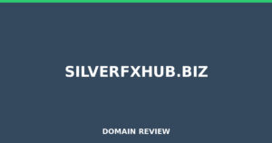 silverfxhub.biz Review 2025 – Detailed Analysis