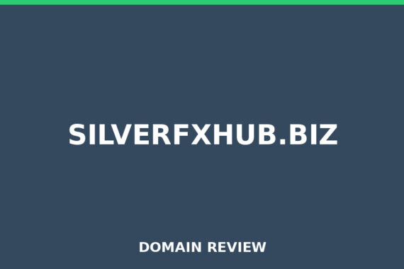 SILVERFXHUB.BIZ review 2025 - Domain review placeholder image for silverfxhub.biz