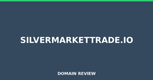 silvermarkettrade.io Review 2025 – Detailed Analysis