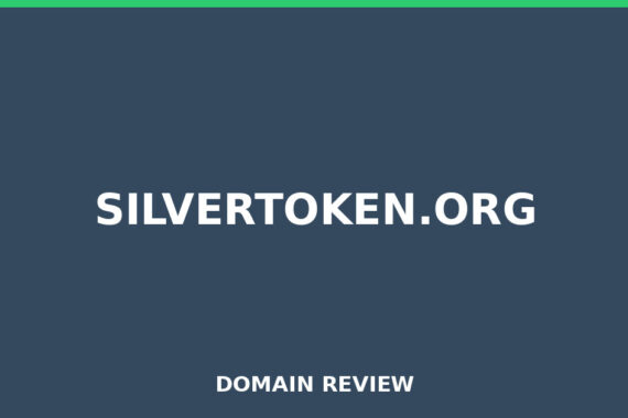 SILVERTOKEN.ORG review 2025 - Domain review placeholder image for silvertoken.org
