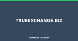 trueexchange.biz 2025 Review – Legitimacy Check