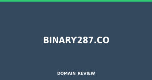binary287.co 2026 Review – Legitimacy Check