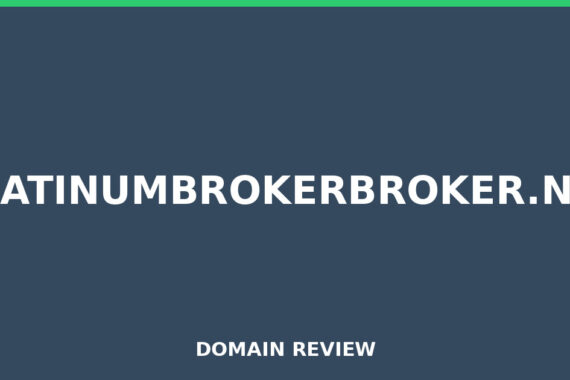 PLATINUMBROKERBROKER.NET review 2026 - Domain review placeholder image for platinumbrokerbroker.net