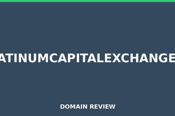 PLATINUMCAPITALEXCHANGE.IO review 2026 - Domain review placeholder image for platinumcapitalexchange.io