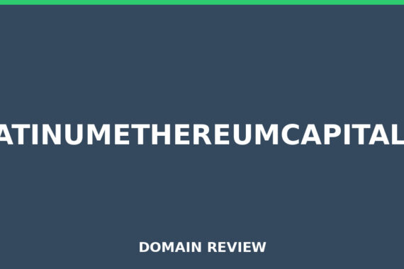PLATINUMETHEREUMCAPITAL.IO review 2026 - Domain review placeholder image for platinumethereumcapital.io