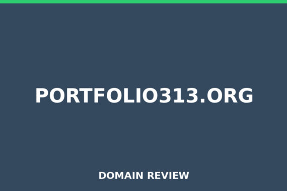 PORTFOLIO313.ORG review 2026 - Domain review placeholder image for portfolio313.org