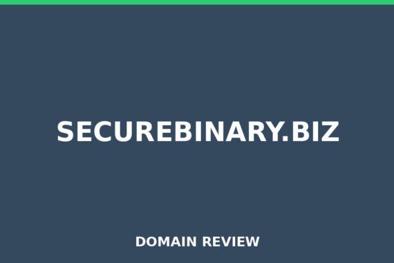 SECUREBINARY.BIZ review 2026 - Domain review placeholder image for securebinary.biz