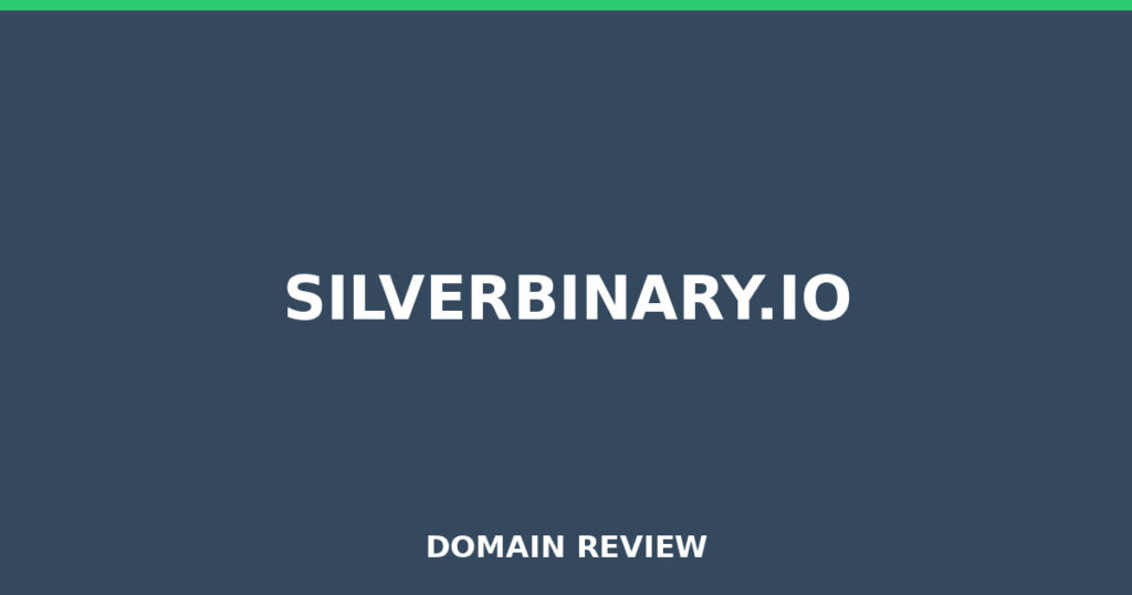 SILVERBINARY.IO review 2026 - Domain review placeholder image for silverbinary.io