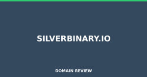 silverbinary.io 2026 Review – Legitimacy Check
